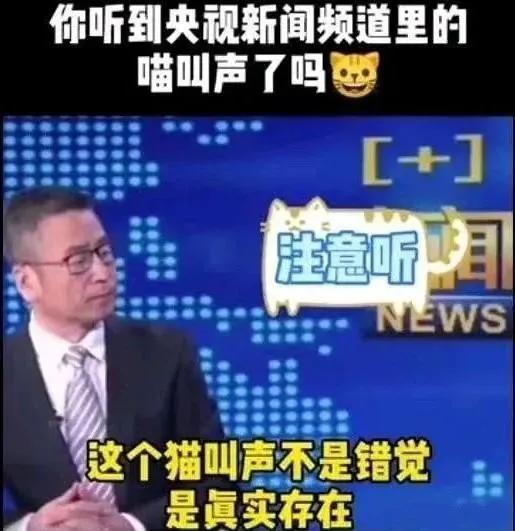 央视新闻背后的爆料视频,独家爆料带你走进真实新闻制作现场  第2张